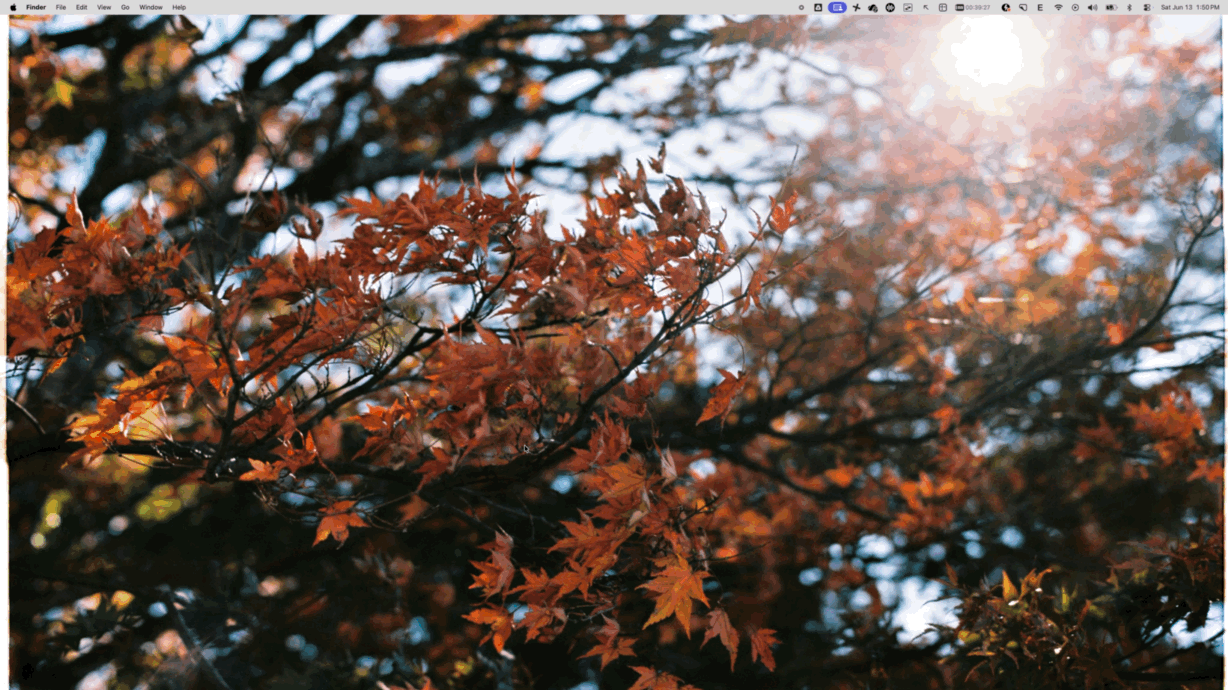 DOSBox running in fullscreen after the fix