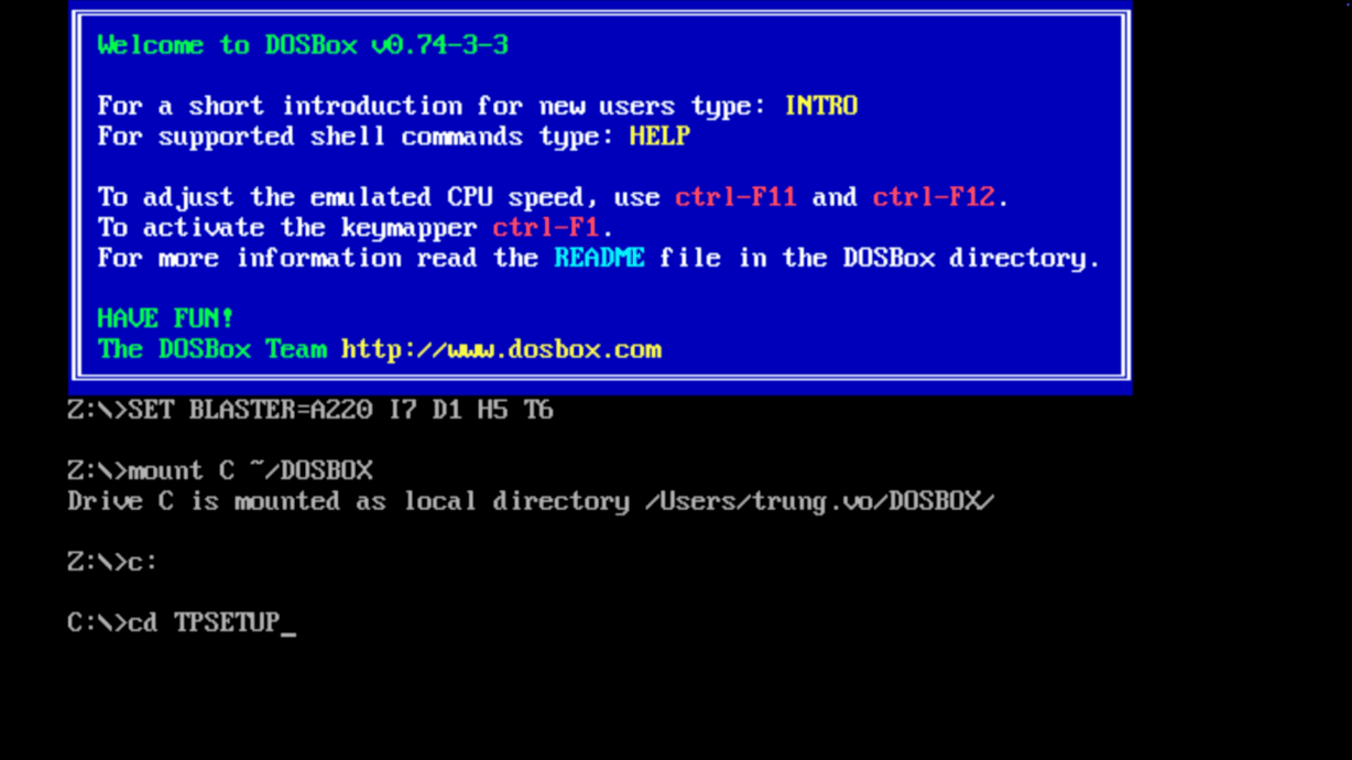 Running the Turbo Pascal installer inside DOSBox