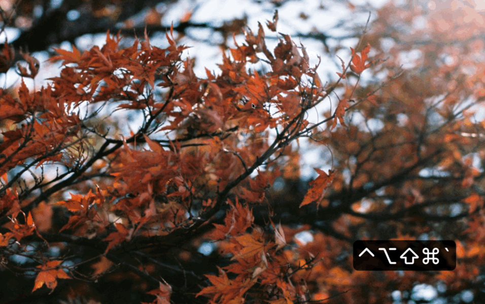 Antigravity starting up without the Agent view