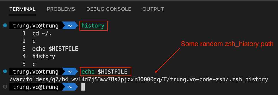 zsh history not working