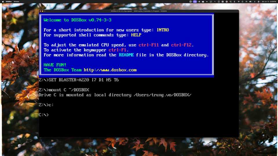 DOSBox config file showing the windowresolution setting