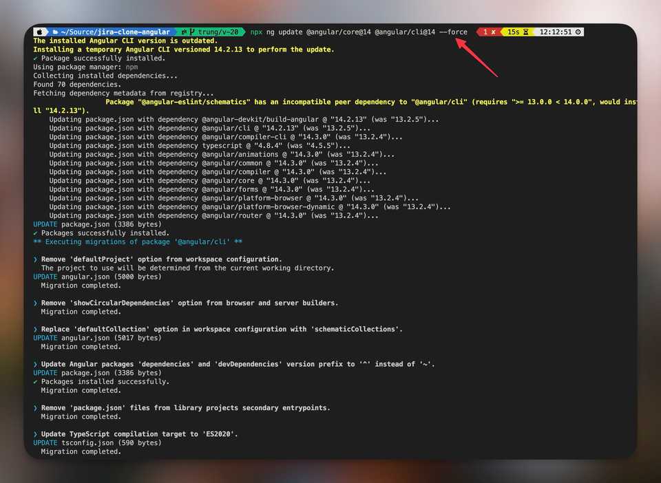 Angular update with force flag